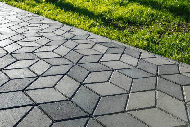 Best Local Driveway Pavers  in Aurora, CO